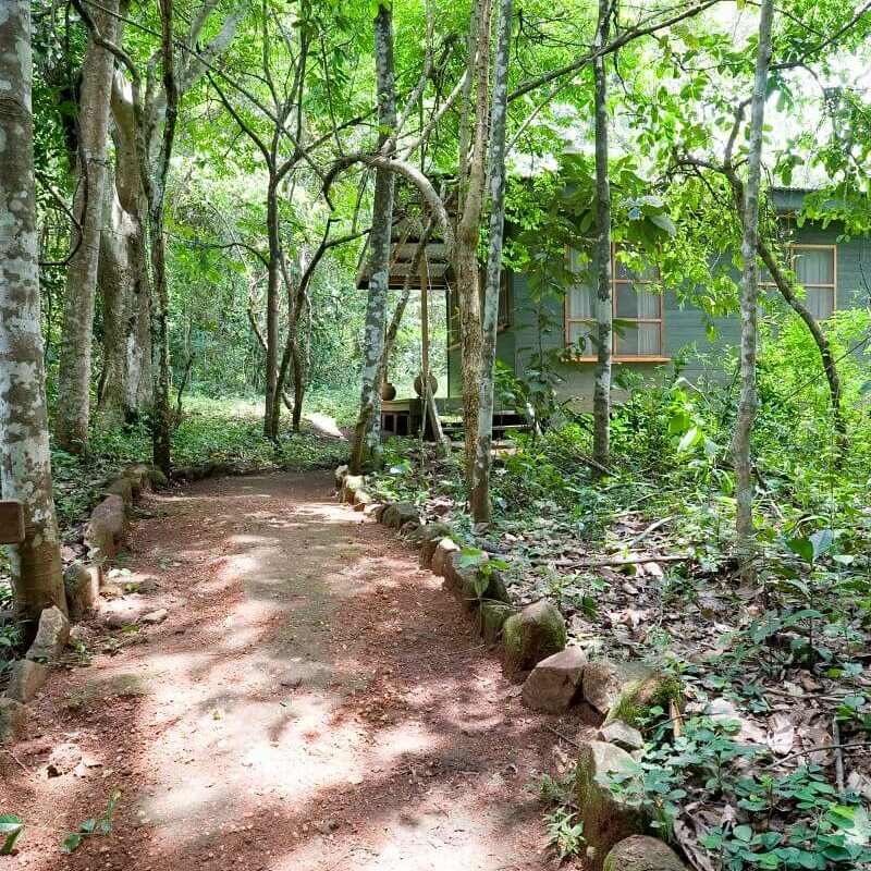 Budongo Eco Lodge