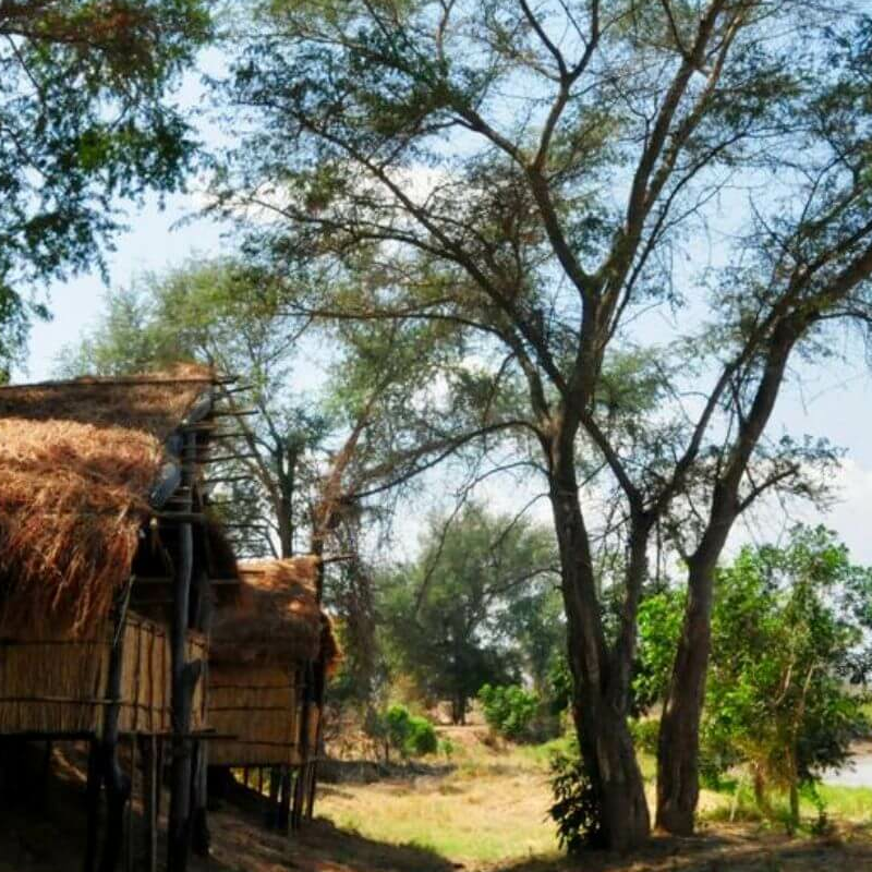 Buffalo Camp
