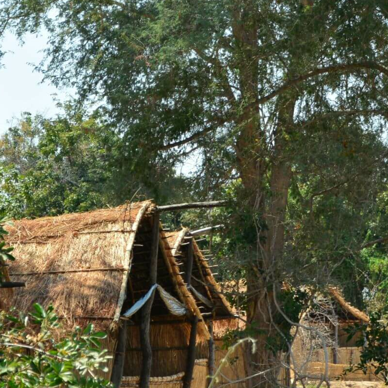 Buffalo Camp