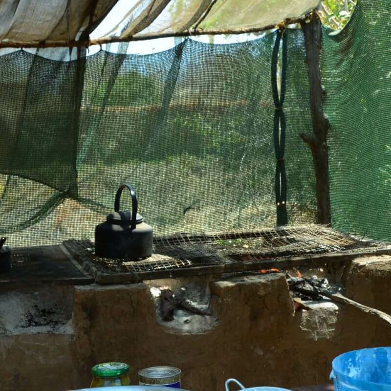 Buffalo Camp