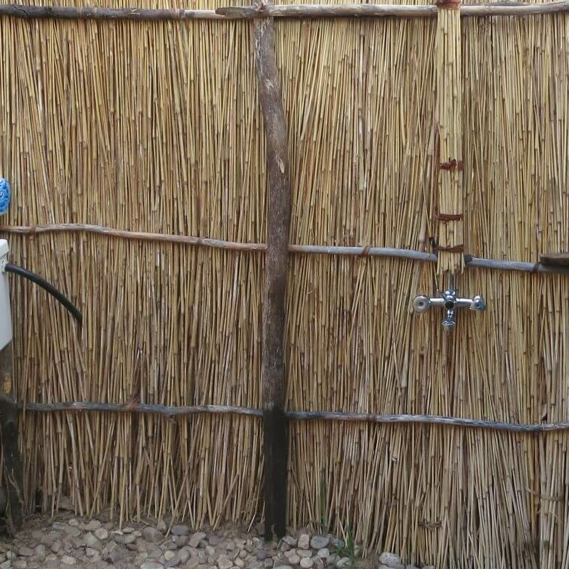 Buffalo Camp