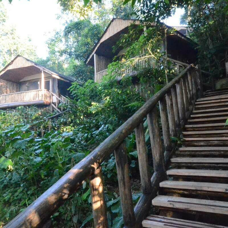 Buhoma Lodge