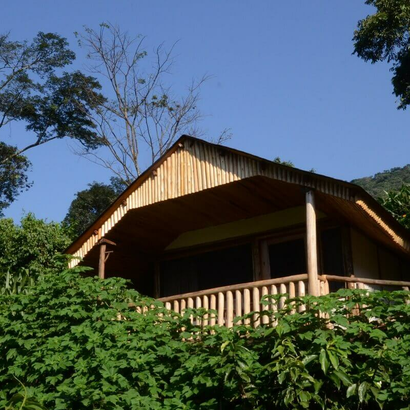 Buhoma Lodge