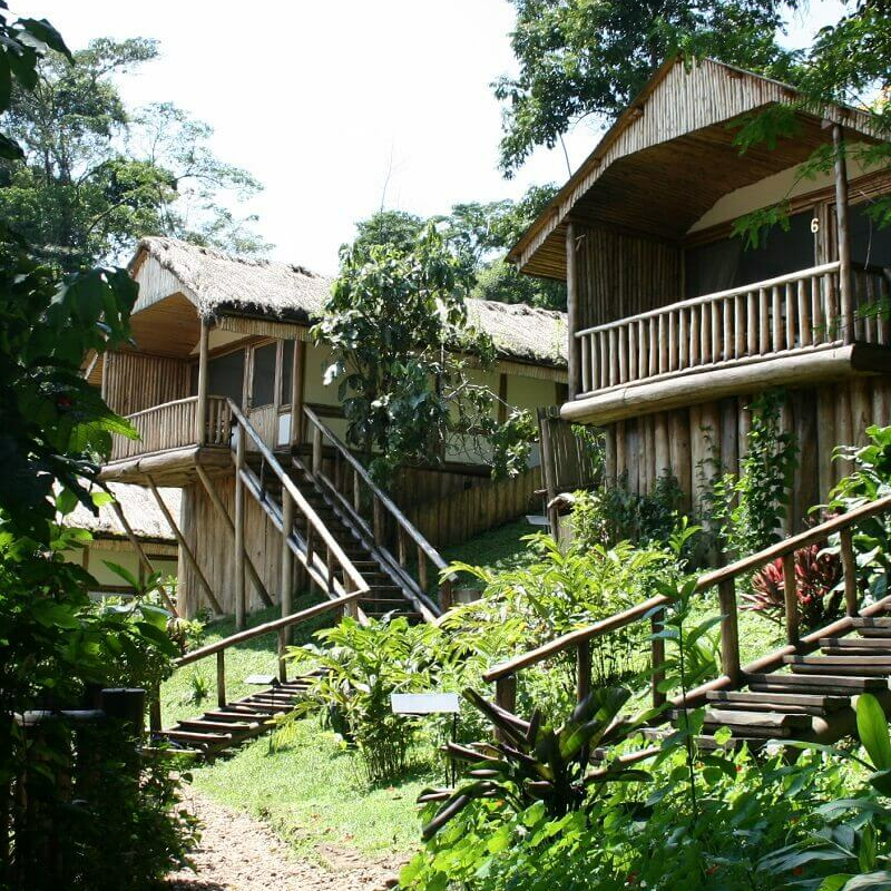 Buhoma Lodge