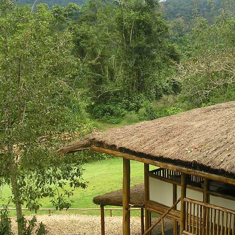 Buhoma Lodge