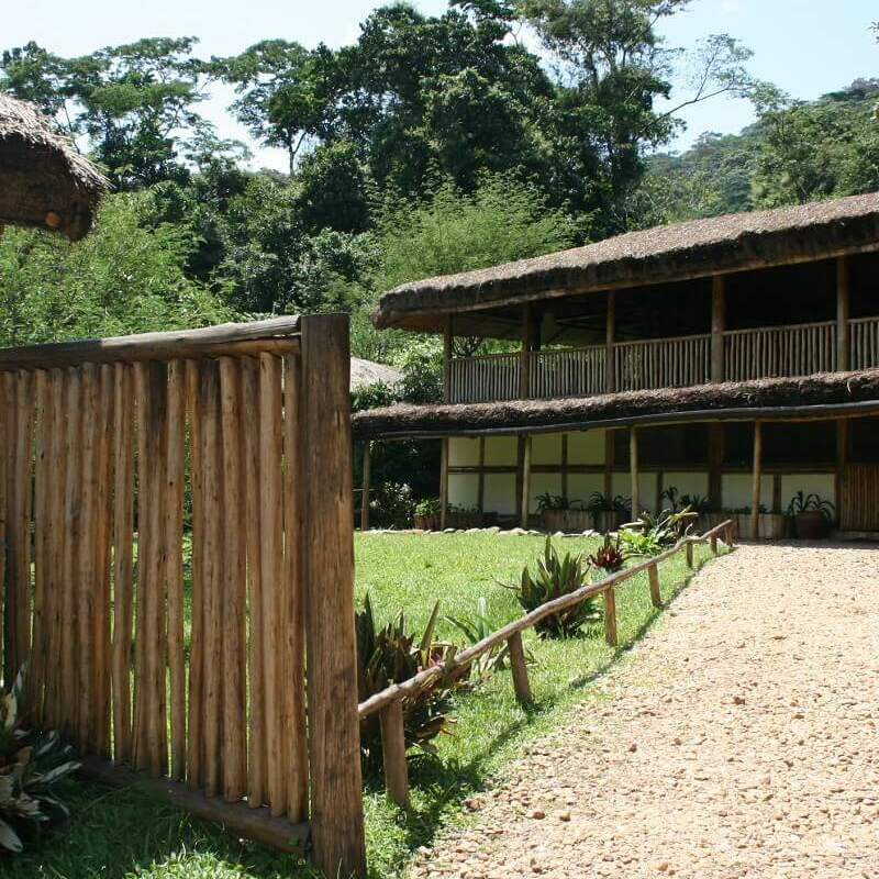 Buhoma Lodge