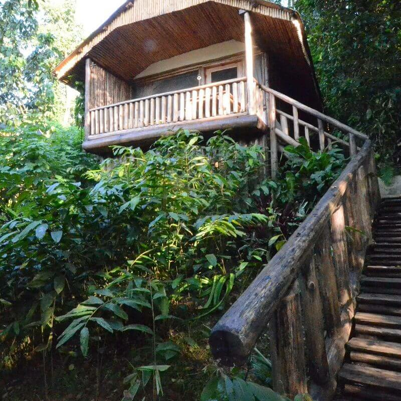 Buhoma Lodge