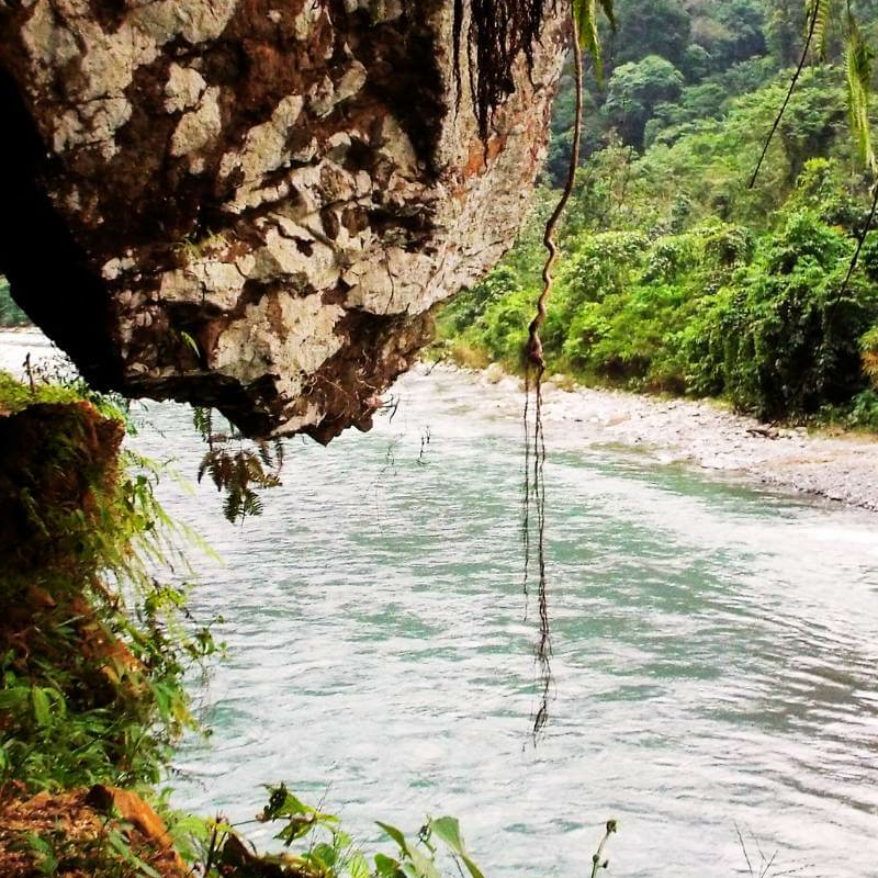 Bukit Lawang Trekking
