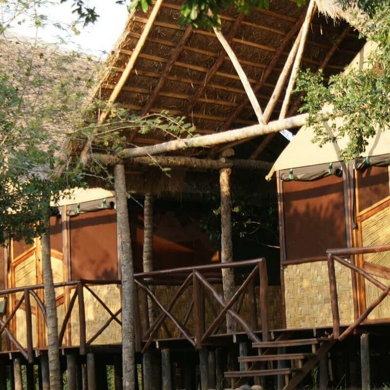 Bush Lodge
