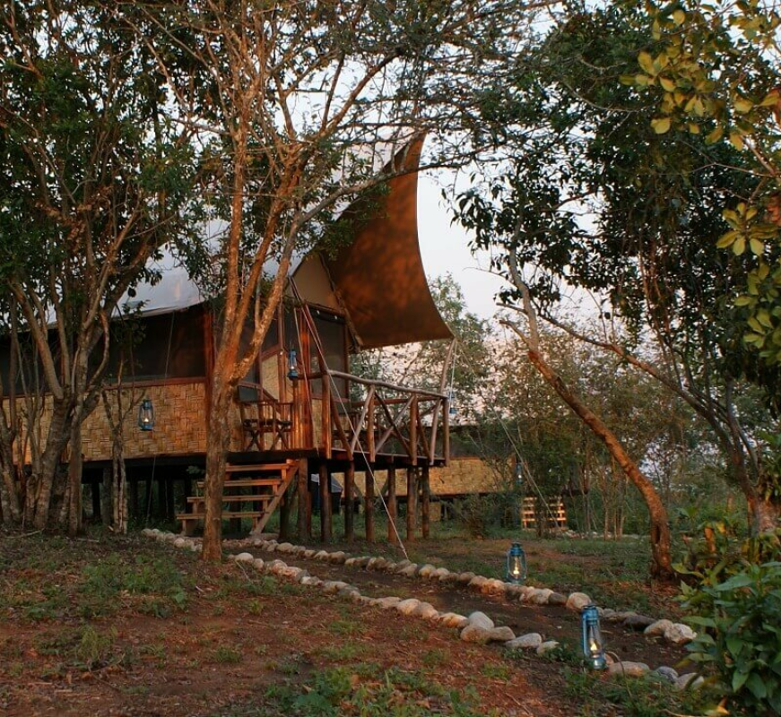 Bush Lodge