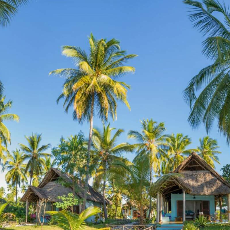 Butiama Beach Lodge
