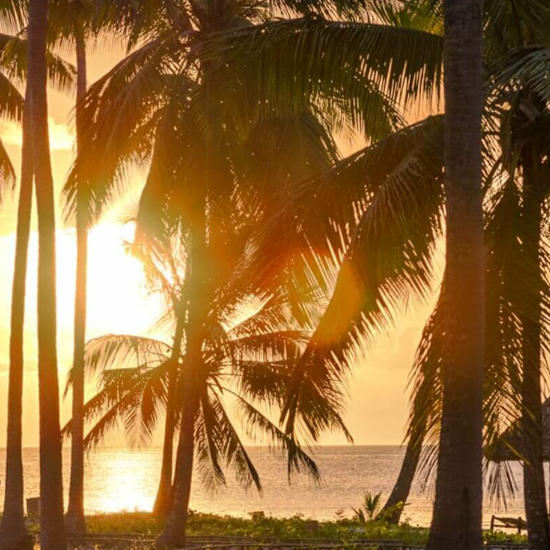 Butiama Beach Lodge