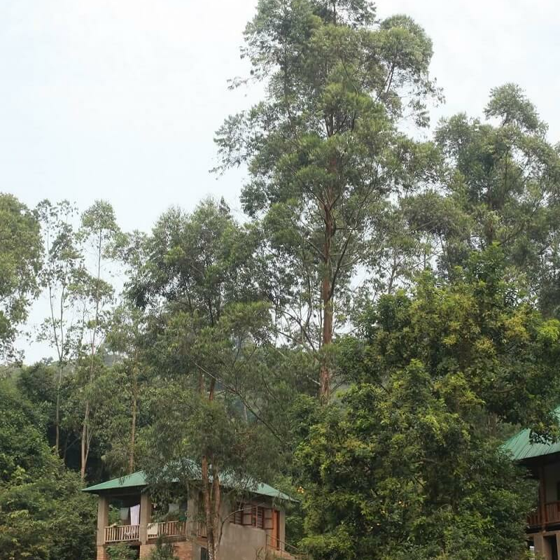 Bwindi Guesthouse