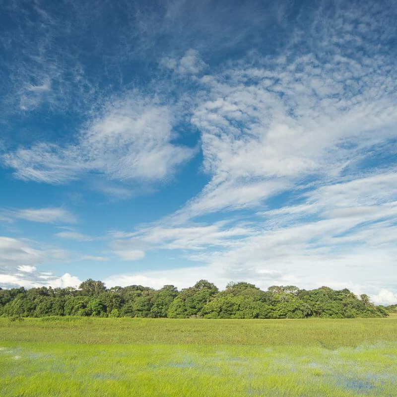 Caiman Ecological Refuge