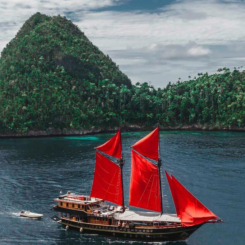 Calico Jack