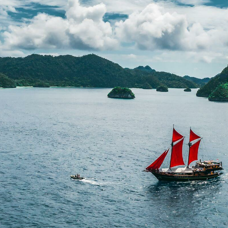 Calico Jack