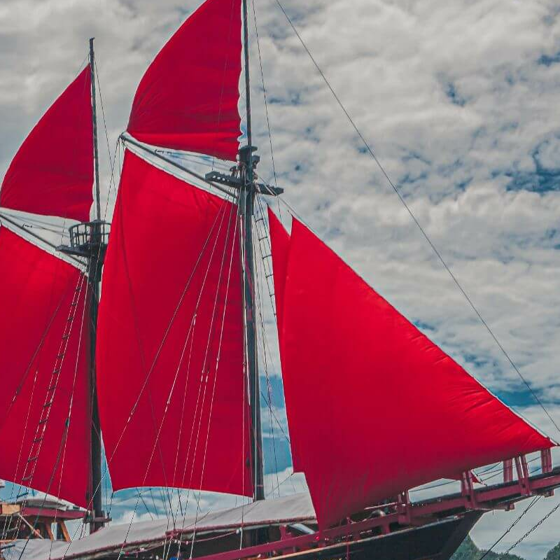 Calico Jack