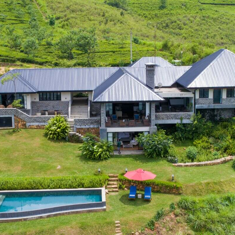 Camellia Hills