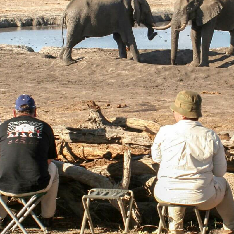 Camp Hwange