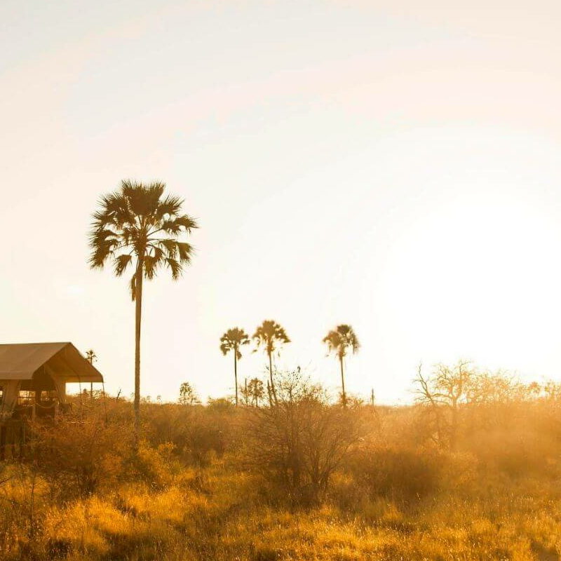 Camp Kalahari