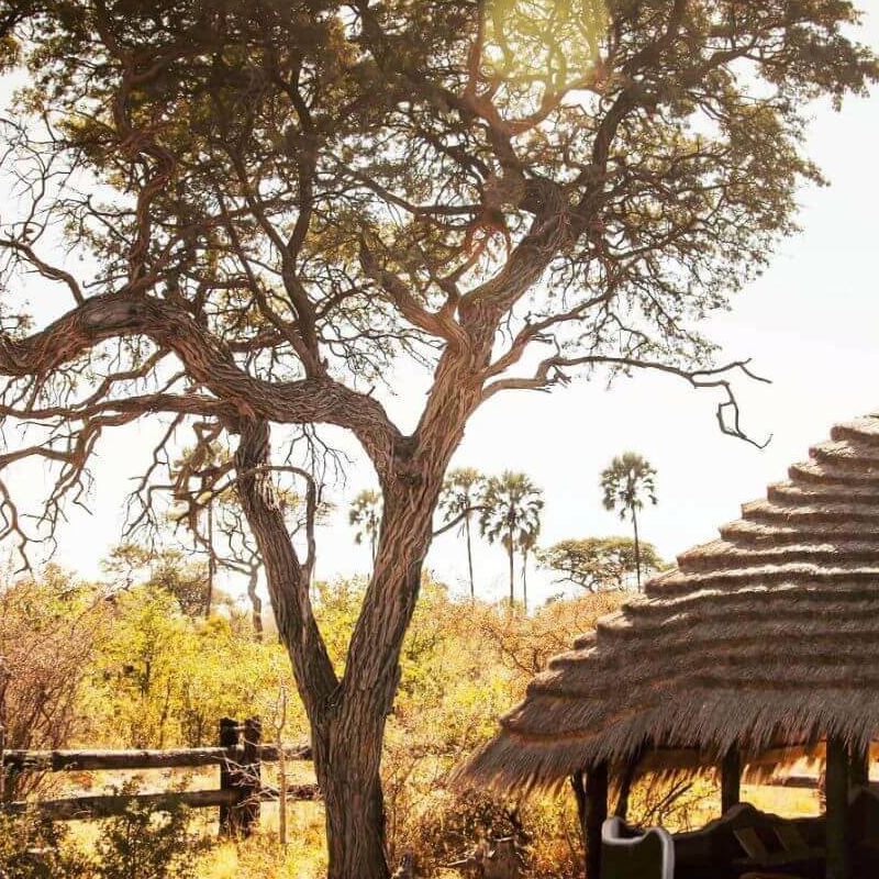 Camp Kalahari