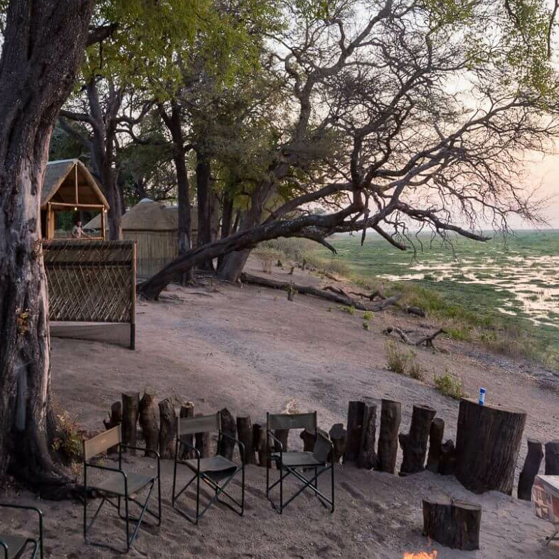 Camp Linyanti