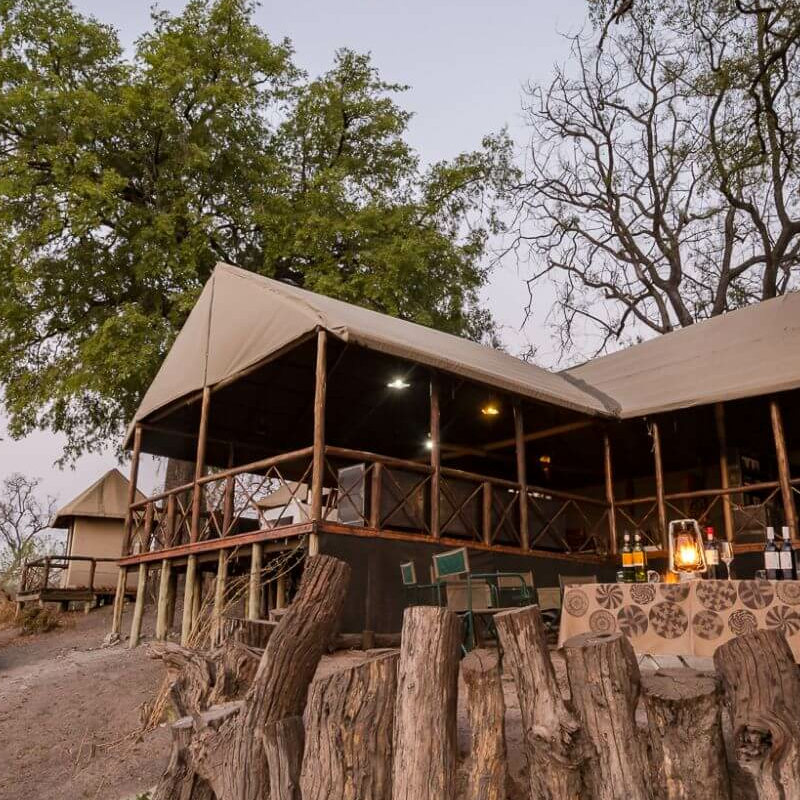 Camp Linyanti