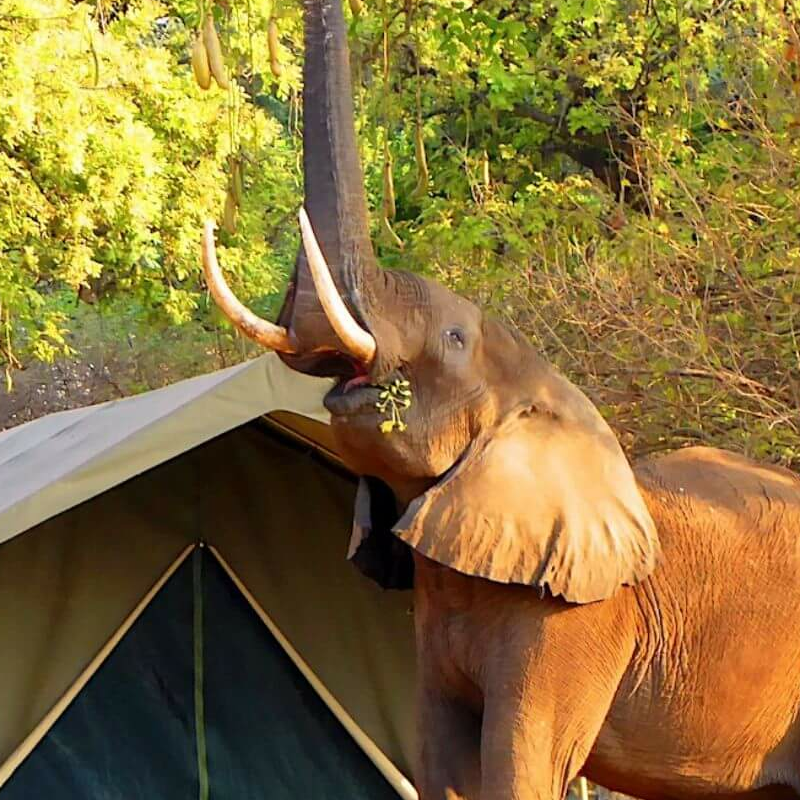 Camp Mana