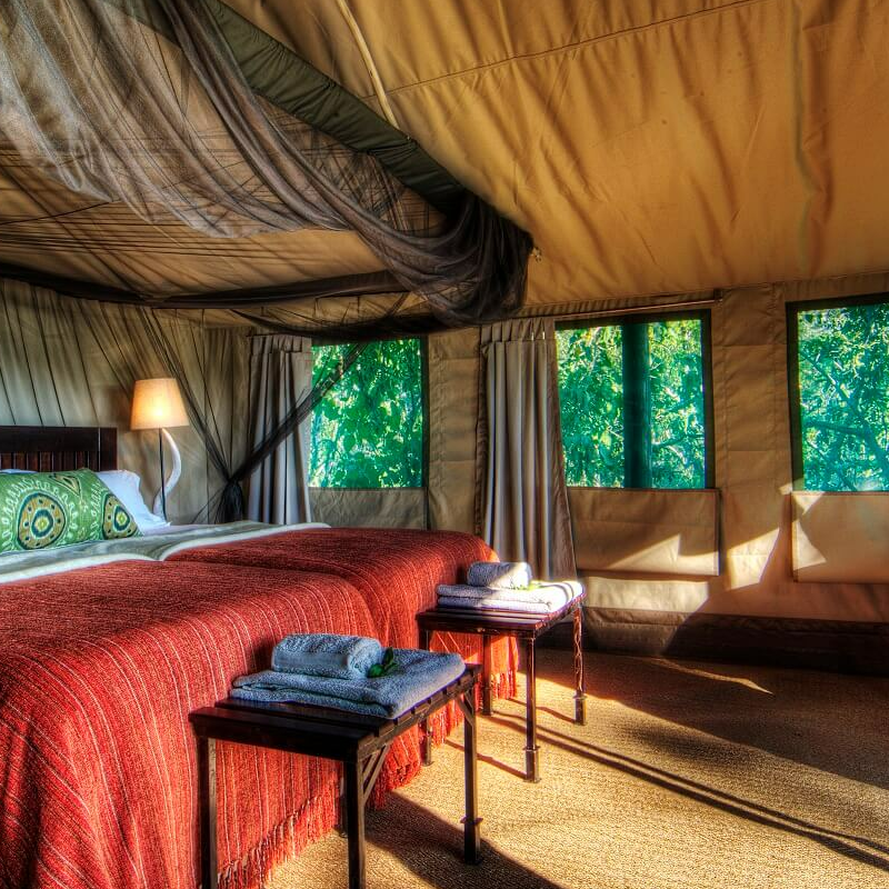 Camp Moremi