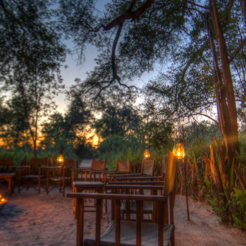 Camp Moremi