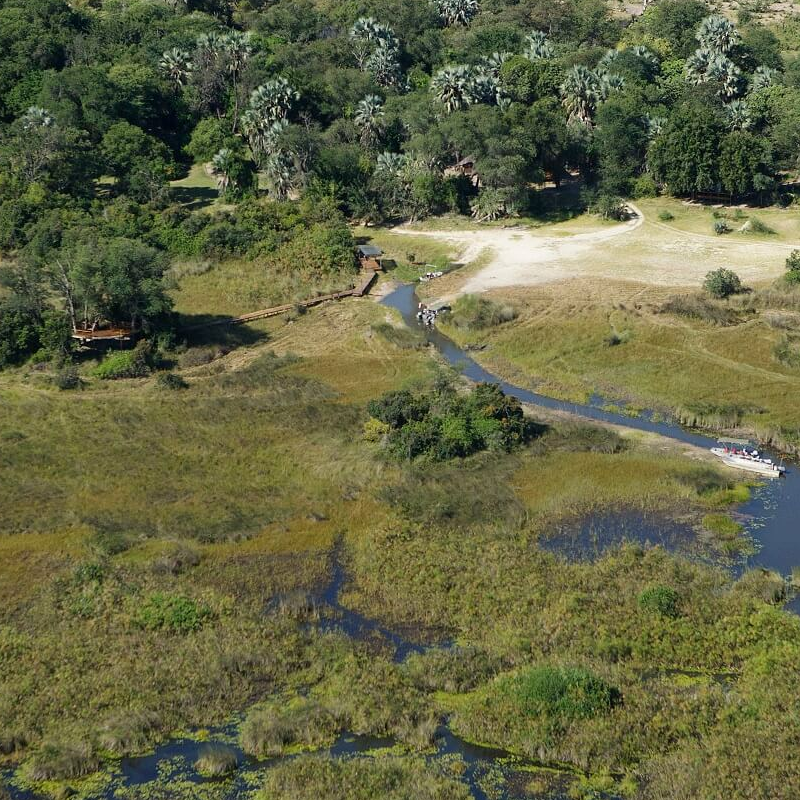 Camp Okavango