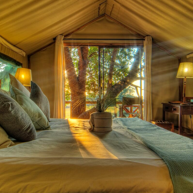 Camp Okavango