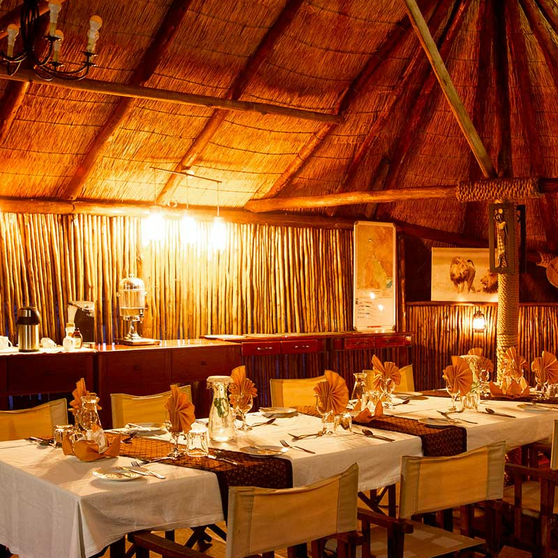 Camp Savuti