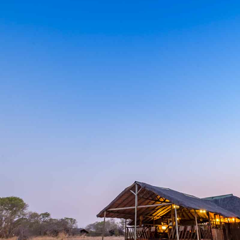 Camp Savuti