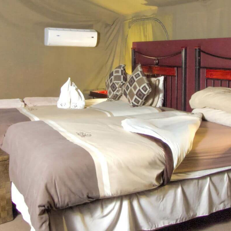 Camp Savuti