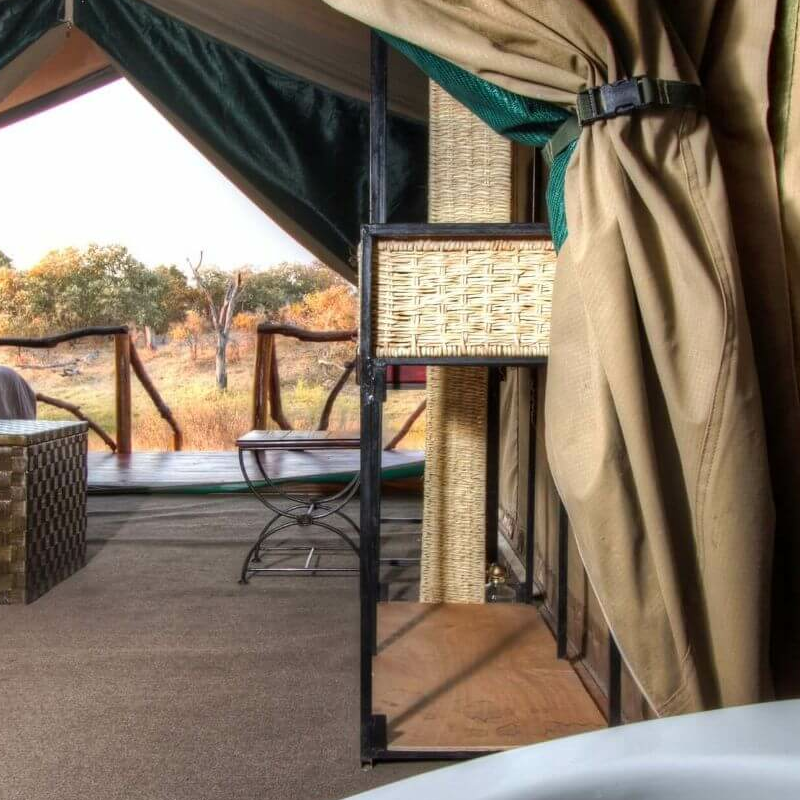 Camp Savuti