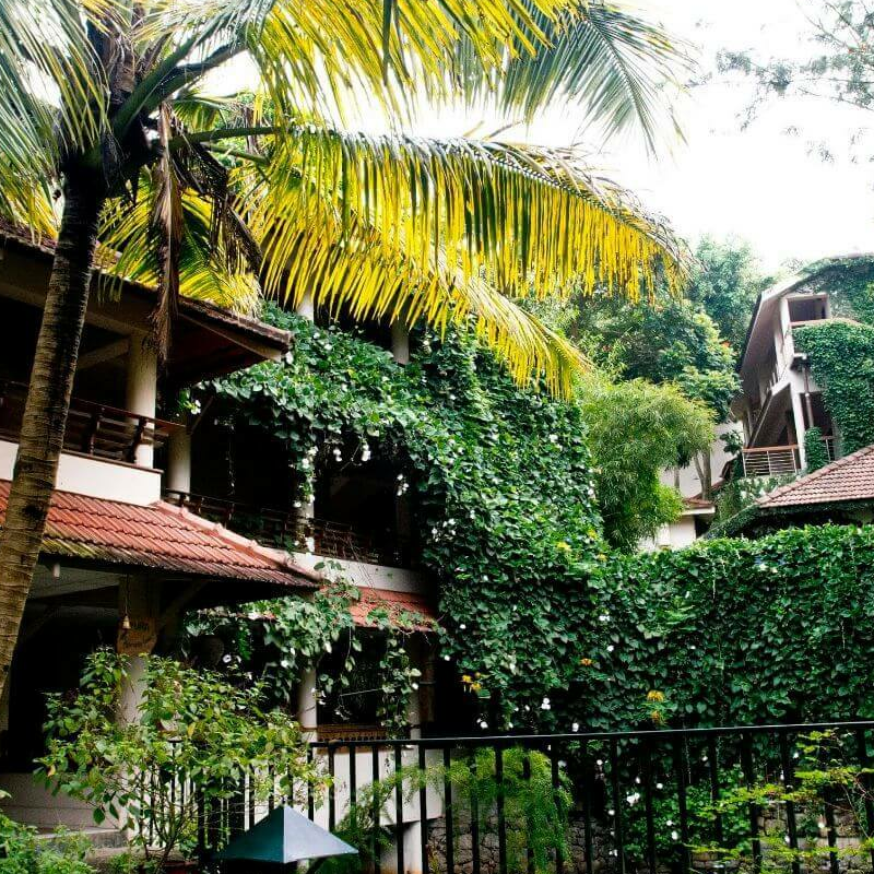 Cardamom County