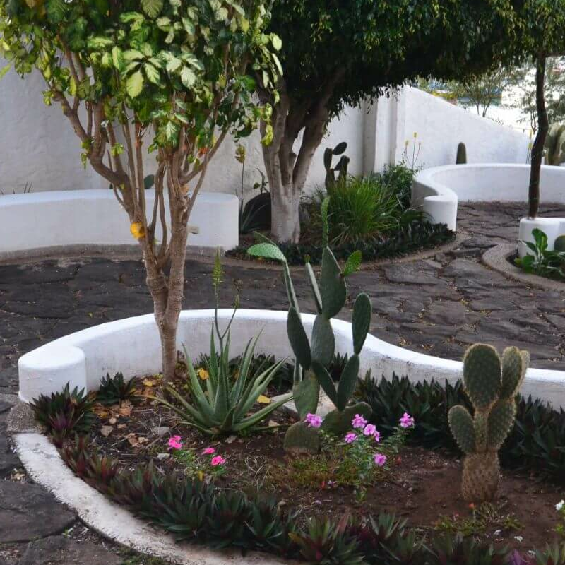 Casa Opuntia