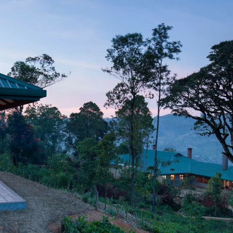 Ceylon Tea Trails