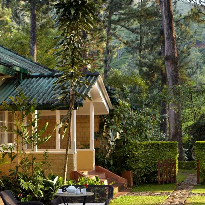Ceylon Tea Trails