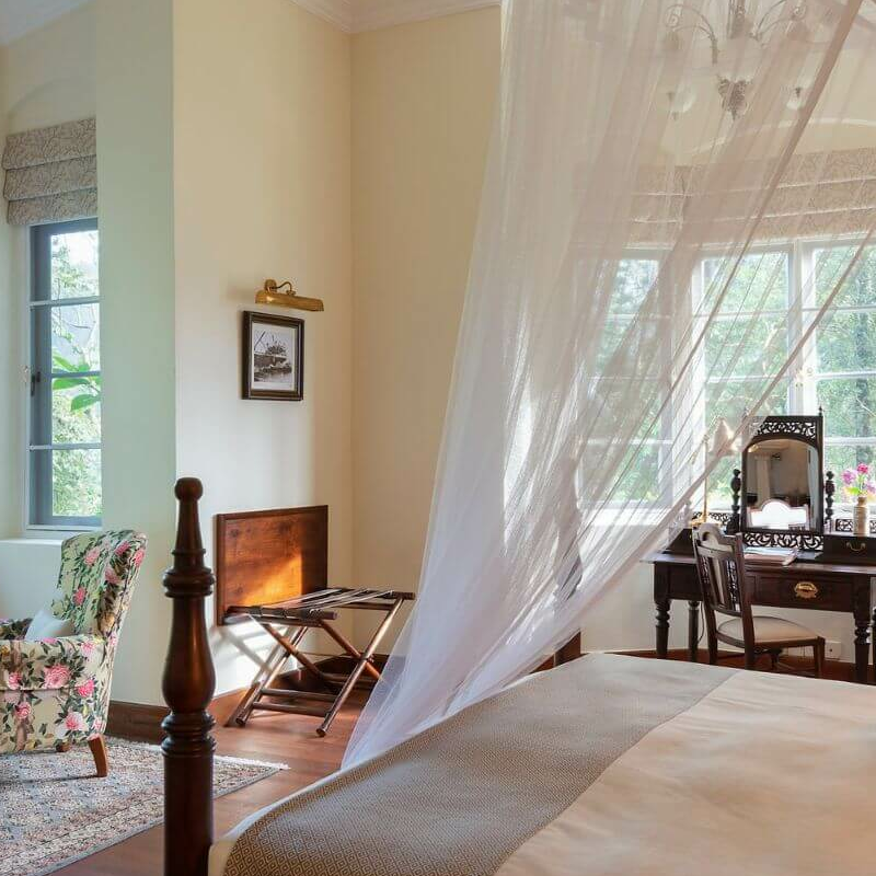 Ceylon Tea Trails