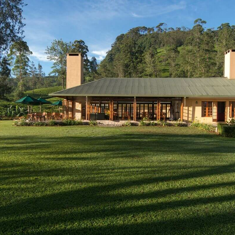 Ceylon Tea Trails