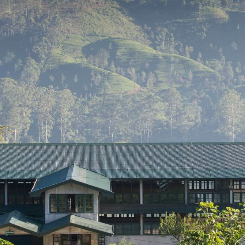 Ceylon Tea Trails