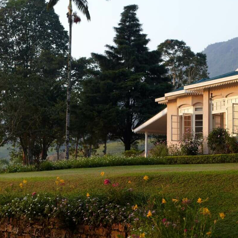 Ceylon Tea Trails