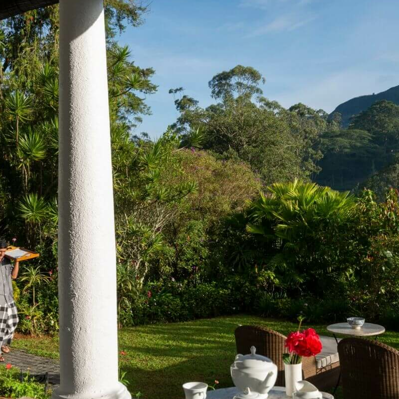 Ceylon Tea Trails