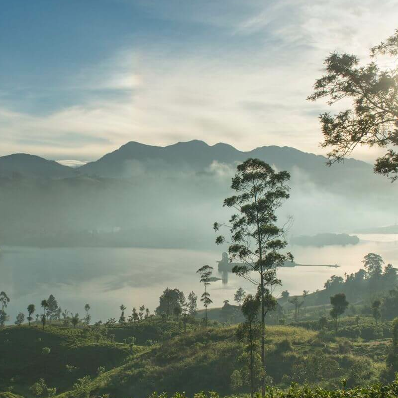 Ceylon Tea Trails