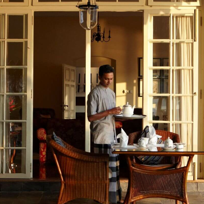 Ceylon Tea Trails