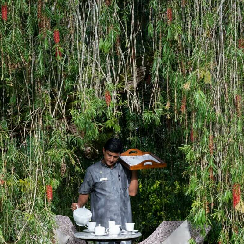 Ceylon Tea Trails