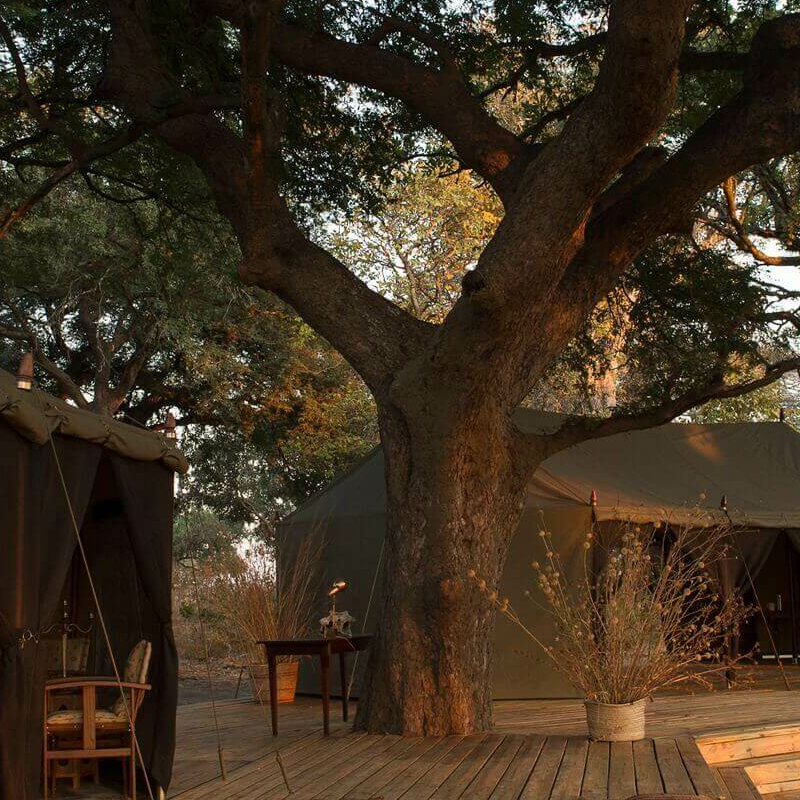 Chada Katavi Camp