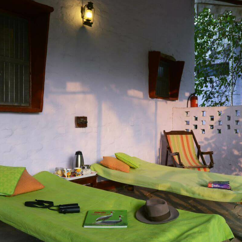 Chambal Safari Lodge